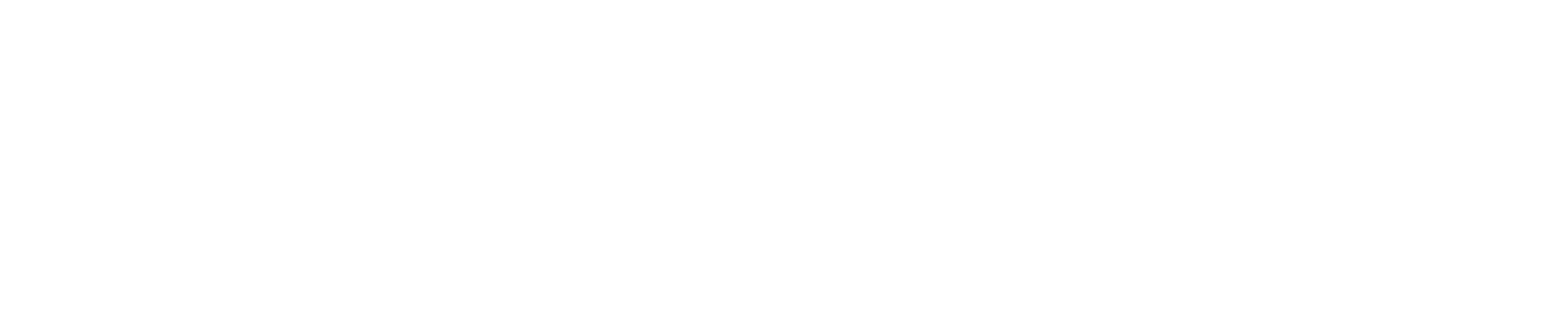 Netgate Logo